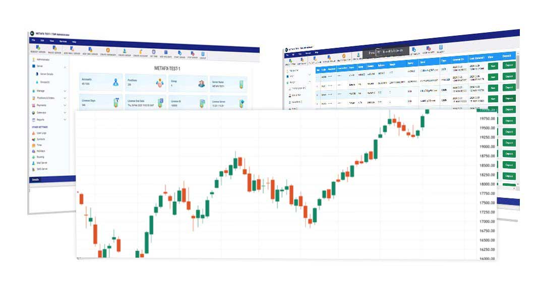 Professional technical analysis in forex Trade Master 9 allows examining stock and currency quotes from all angles